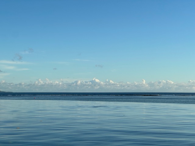 IMG_3033 중간