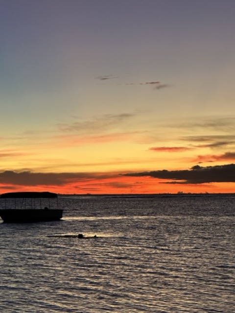 IMG_3043 중간