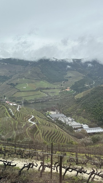 IMG_6615 중간.jpeg