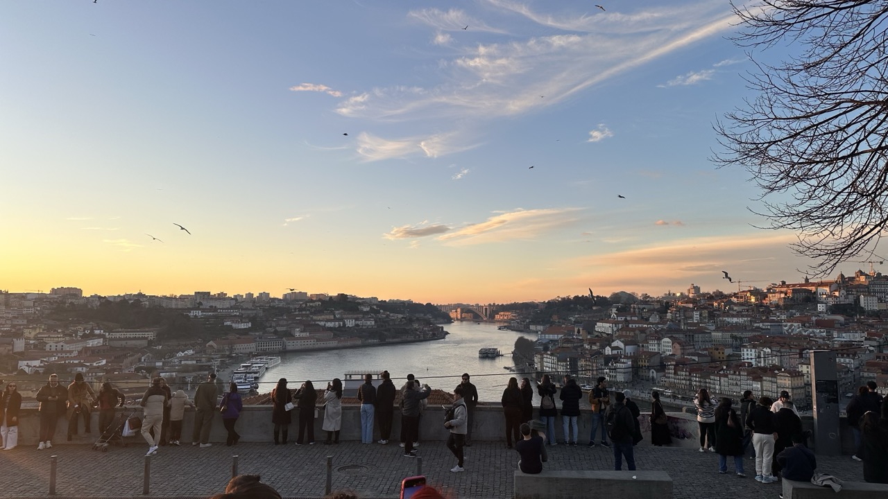 IMG_7303 중간